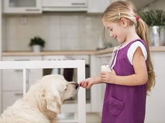 Donner du yaourt à son chien